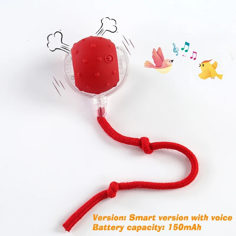 Automatic Interactive Cat Ball Toy – Rechargeable Smart Play