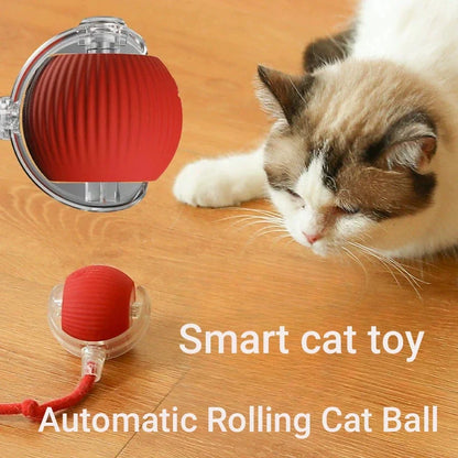 Automatic Interactive Cat Ball Toy – Rechargeable Smart Play
