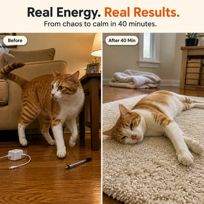 KittyRun - Smart Cat Exercise Wheel